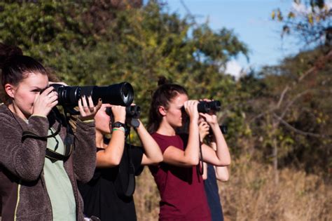 A Guide To Ethical Conservation Volunteering Abroad - raincitystudios.com