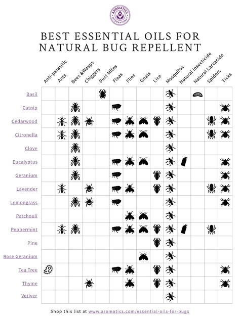 A guide to natural bug repellent with essential oils - raincitystudios.com
