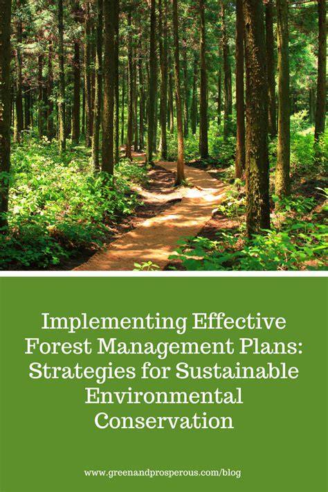 A Guide to Preparing Draft Sustainable Forest Management Plans ... - raincitystudios.com