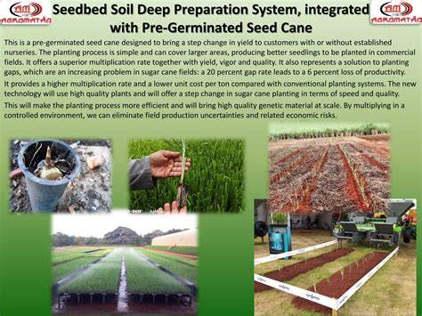 A guide to seedbed management - Seed Farm - raincitystudios.com