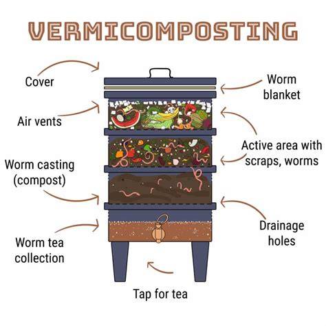 A Guide to Vermicomposting with Worm Bins - raincitystudios.com