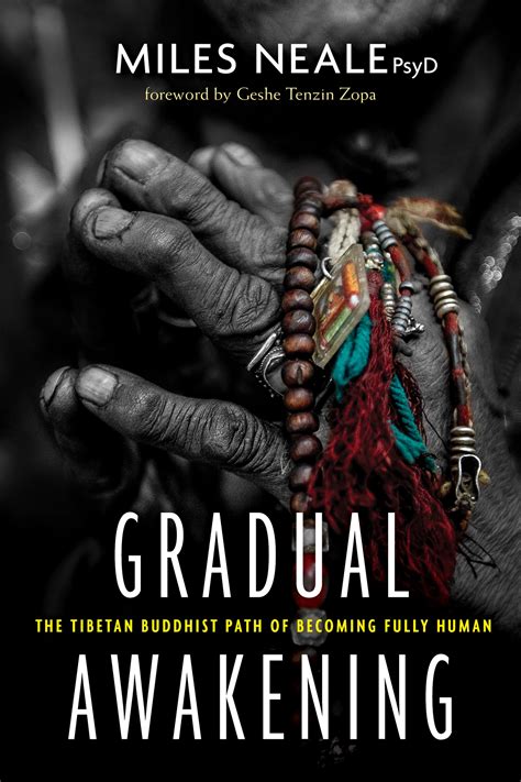 Read A Gradual Awakening