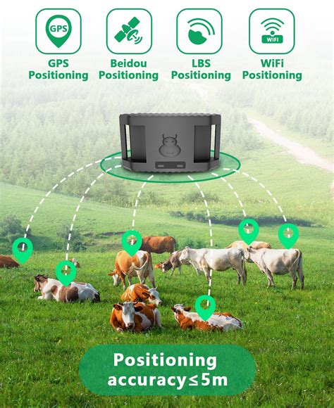 A Guardian GPS tracker for livestock!