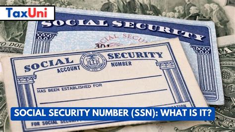 A Guide To Getting A Social Security Number