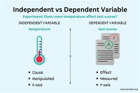 A Guide To Independent, Dependent And Control Variables Examples