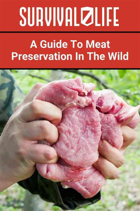 A Guide To Meat Preservation In The Wild Survival Life