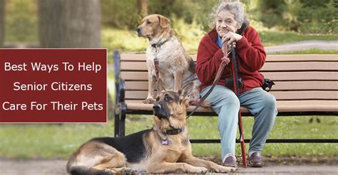 A Guide To Pet Care Assistance For Senior Citizens