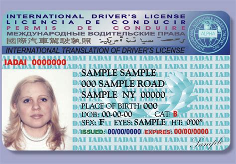 A Guide to International or Foreign Driver’s License in …