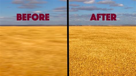 A Guide to Optical vs Digital Image Stabilization