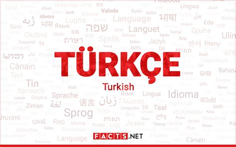 A Guide to Turkish - 10 facts about the Turkish language