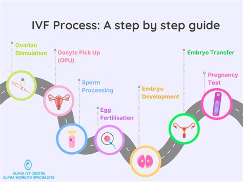 A Guide to the IVF Process & Timeline Ivf, Ivf preparation, Ivf timeline
