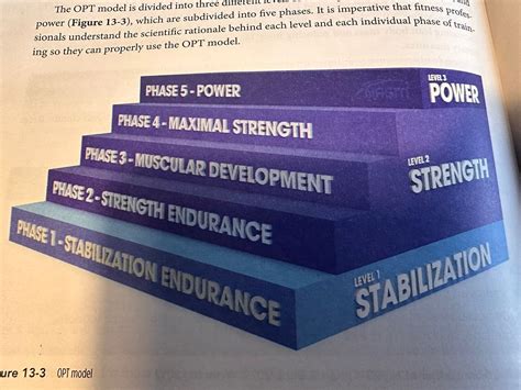 A Guide to the NASM Optimum Performance Training® Model