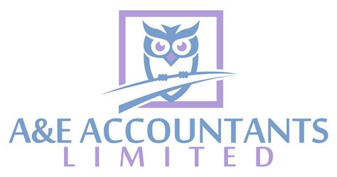 A H ACCOUNTANTS LTD overview - GOV.UK