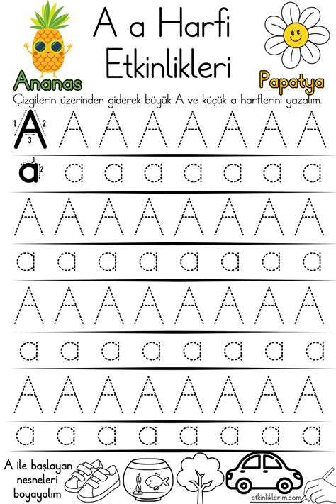 codini.rgarabwor.edu.pl. 