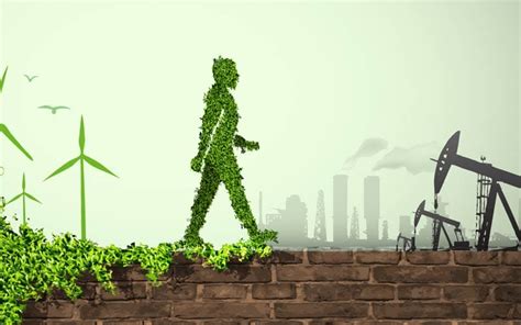 A Handy Guide For Eco-Friendly Entrepreneurs - Blogging Hub