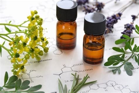 A Haute Essential Oil Guide For Everyday Use