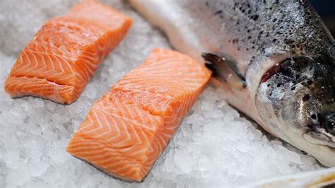 A History of Salmon