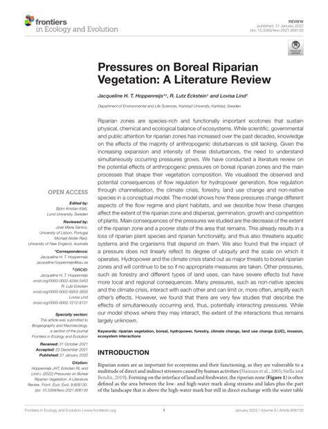 A LITERATURE REVIEW OF RIPARIAN REVEGETATION TECHNIQUES - raincitystudios.com