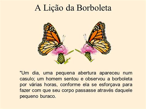 A Lição da Borboleta - refletirpararefletir.com.br