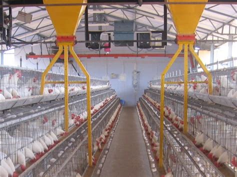 A List of Poultry Farming Equipments and Their Uses