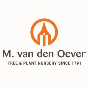 A M a Van Den Oever The Medium Sensitive Experience