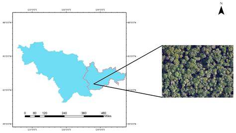 A METHOD FOR MAPPING CLOUD FORESTS USING HIGH … - raincitystudios.com