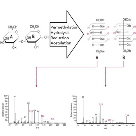 A METHOD FOR THE DETERMINATION OF MONOSACCHARIDES …