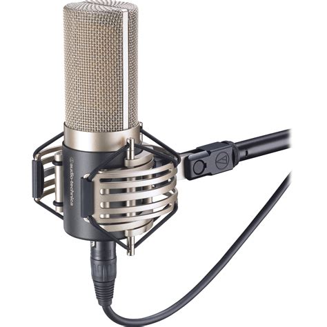 A MIC