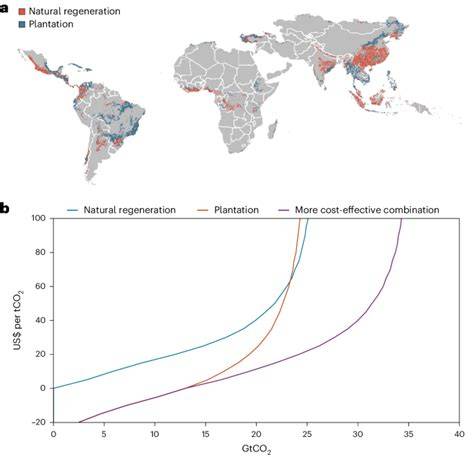 A mix of reforestation methods offers more cost … - raincitystudios.com