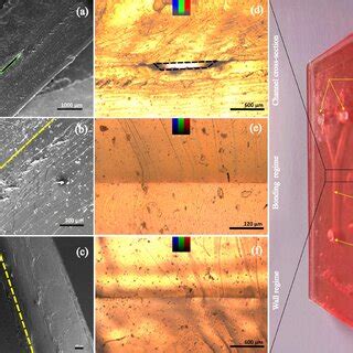 A mould-free soft-lithography approach for rapid, low-cost and bulk ... - wintechmobiles.com