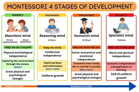 A Meta-Analysis of the Effects of Montessori Education