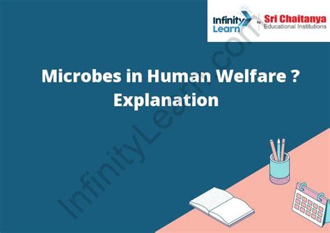 A Micro Approach To Human Welfare