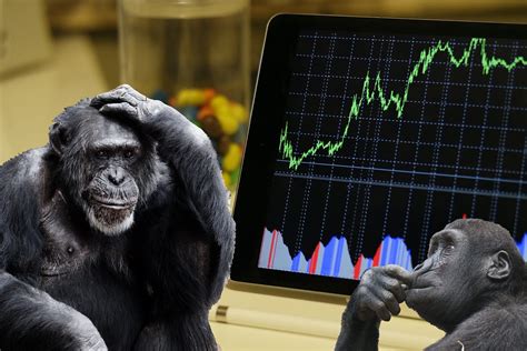 A Monkey Picks My Stock Portfolio by Viraf Geek …