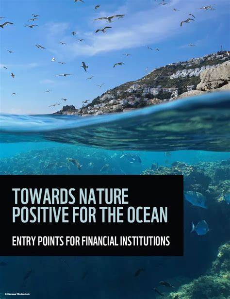 A nature-positive ocean future - World Wildlife Fund - raincitystudios.com