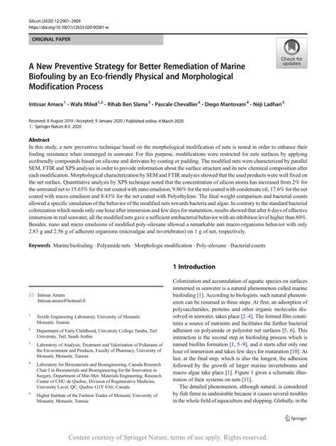 A New Preventive Strategy for Better Remediation of Marine - raincitystudios.com