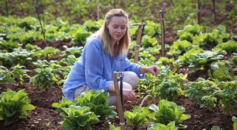 A Natural Farm