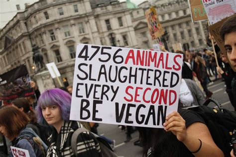A New Approach to Animal Rights Activism