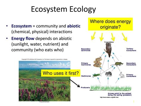A New Ecosystem Ecology for Anthropology