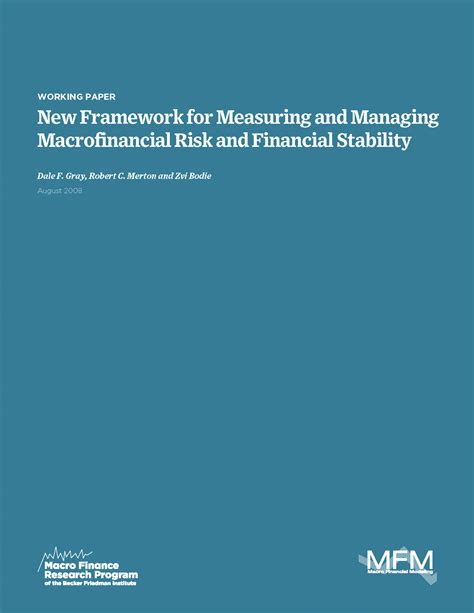 A New Framework for Analyzing and Managing Macro Financial Risks