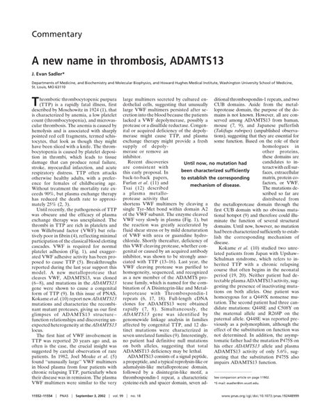 A New Name in Thrombosis ADAMTS13