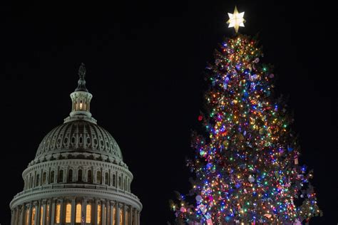A Norway spruce from West Virginia is headed to the US Capitol to be this year’s Christmas tree