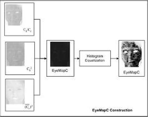 A Novel Algorithm on Facial Color Images for Detection Eyes