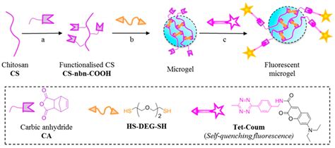 A Platelet-Rich Plasma-Loaded Chitosan-Based Hydrogel for … - muktibox.com