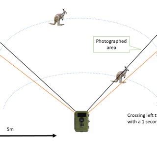 A Practical Guide to Using Camera Traps for Wildlife Monitoring in ... - muktibox.com