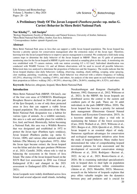 A Preliminary Study Of The Javan Leopard Behavior - raincitystudios.com