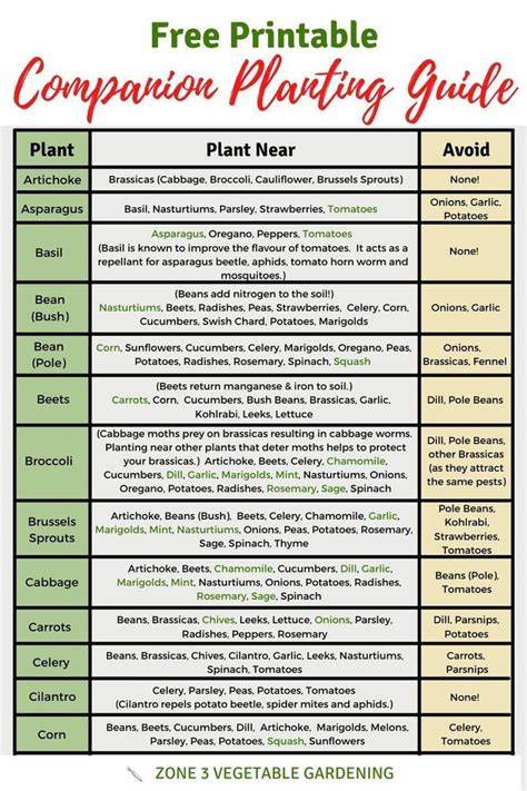 A Printable Companion Planting Chart - Food … - raincitystudios.com