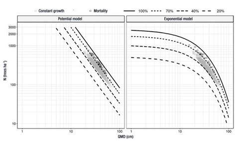 A provisional growth model with a size–density relationship for a ... - raincitystudios.com