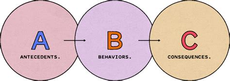 A Part Example Guide Abc Techniques