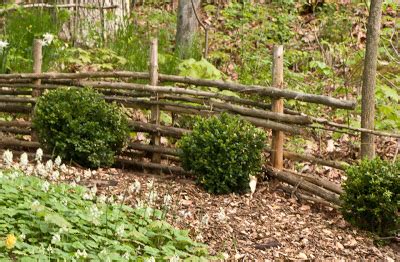 A Path to The Egg - Glen Villa Art Garden