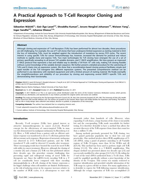 A Practical Approach to T-Cell Receptor Cloning and Expression